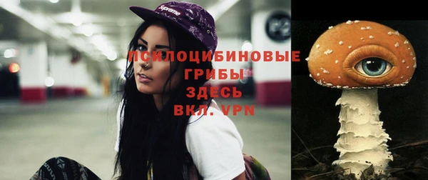 винт Балахна